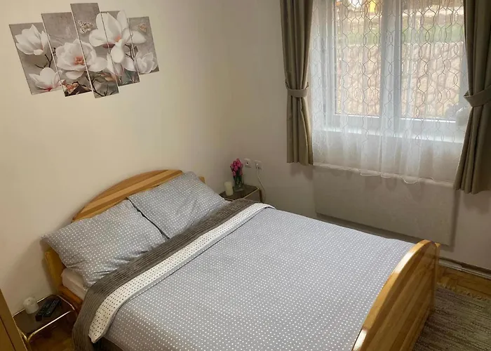 Amica アパート *