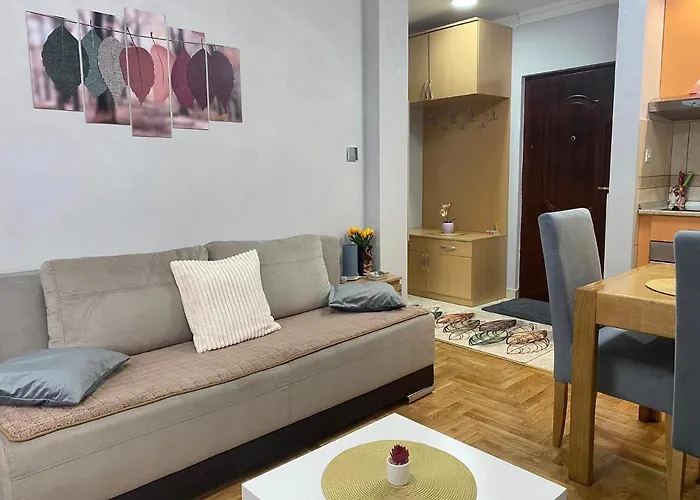 Amica アパート *